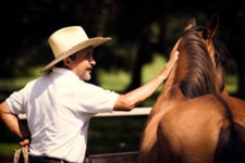 Costa Rica-Guanacaste-Costa Rica Silver Saddles Tour